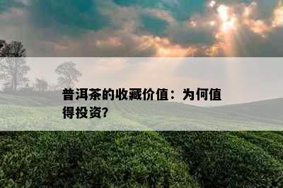 普洱茶的收藏价值：为何值得投资？