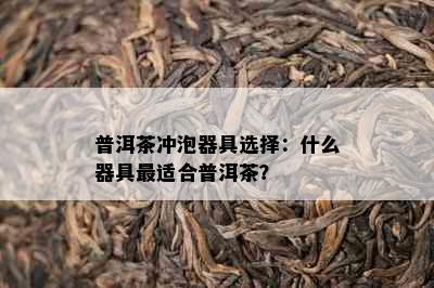 普洱茶冲泡器具选择：什么器具最适合普洱茶？