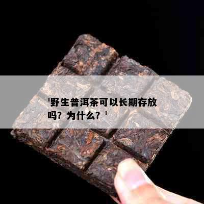 '野生普洱茶可以长期存放吗？为什么？'