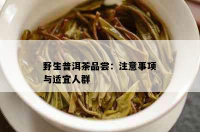 野生普洱茶品尝：注意事项与适宜人群