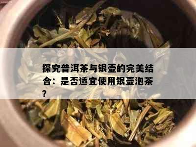 探究普洱茶与银壶的完美结合：是否适宜使用银壶泡茶？