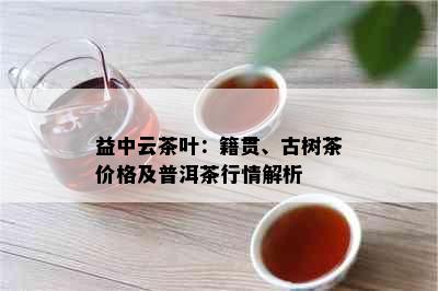 益中云茶叶：籍贯、古树茶价格及普洱茶行情解析