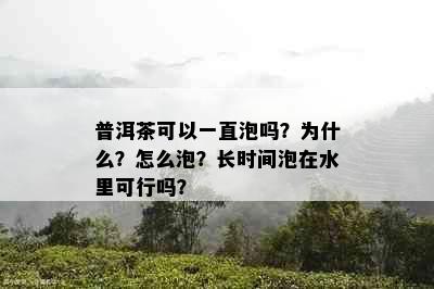 普洱茶可以一直泡吗？为什么？怎么泡？长时间泡在水里可行吗？