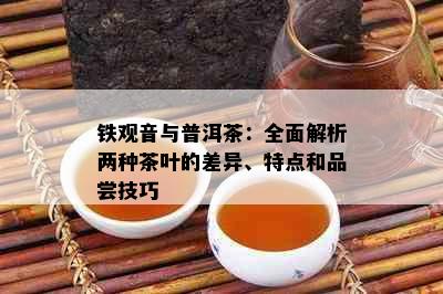 铁观音与普洱茶：全面解析两种茶叶的差异、特点和品尝技巧