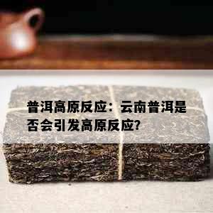 普洱高原反应：云南普洱是否会引发高原反应？