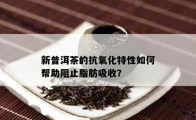 新普洱茶的抗氧化特性如何帮助阻止脂肪吸收？