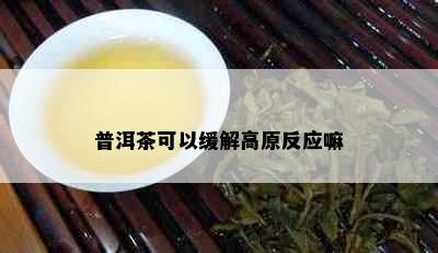 普洱茶可以缓解高原反应嘛