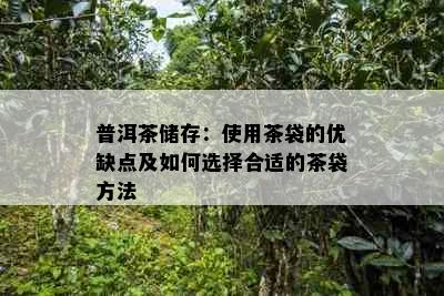 普洱茶储存：使用茶袋的优缺点及如何选择合适的茶袋方法