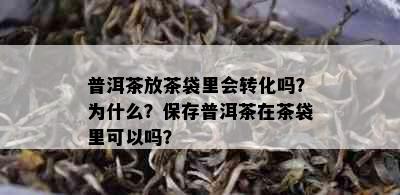 普洱茶放茶袋里会转化吗？为什么？保存普洱茶在茶袋里可以吗？