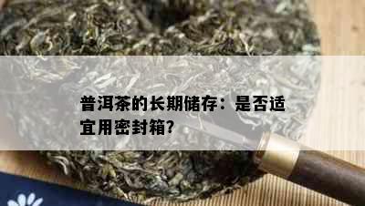 普洱茶的长期储存：是否适宜用密封箱？