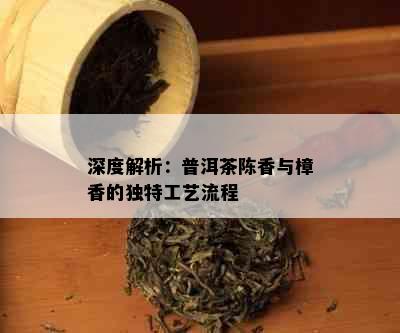 深度解析：普洱茶陈香与樟香的独特工艺流程