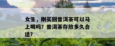 女生，刚买回普洱茶可以马上喝吗？普洱茶存放多久合适？