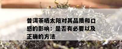 普洱茶晒太阳对其品质和口感的影响：是否有必要以及正确的方法