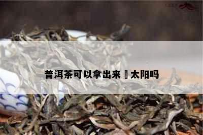 普洱茶可以拿出来嗮太阳吗