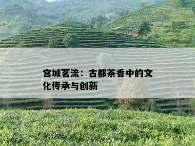 宫城茗流：古都茶香中的文化传承与创新