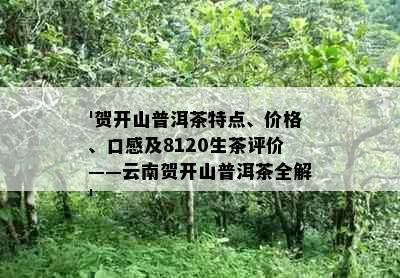 '贺开山普洱茶特点、价格、口感及8120生茶评价——云南贺开山普洱茶全解'