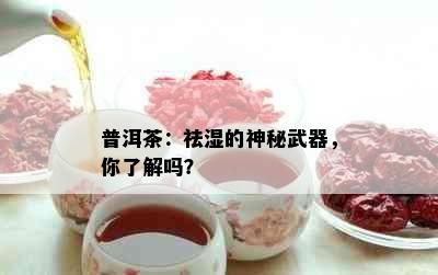 普洱茶：祛湿的神秘武器，你了解吗？