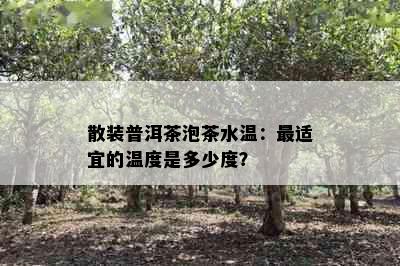 散装普洱茶泡茶水温：最适宜的温度是多少度？