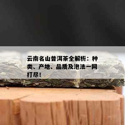 云南名山普洱茶全解析：种类、产地、品质及泡法一网打尽！