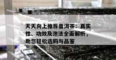 天天向上推荐普洱茶：真实性、功效及泡法全面解析，助您轻松选购与品鉴