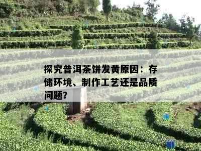 探究普洱茶饼发黄原因：存储环境、制作工艺还是品质问题？