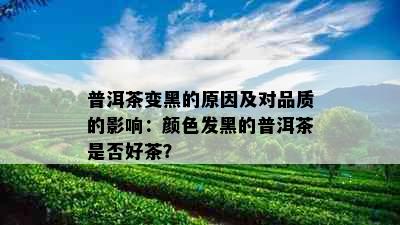 普洱茶变黑的原因及对品质的影响：颜色发黑的普洱茶是否好茶？