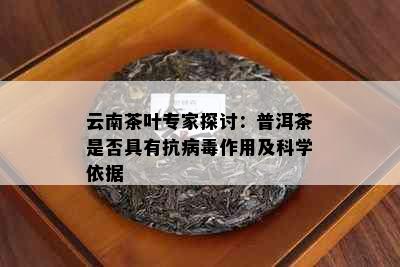 云南茶叶专家探讨：普洱茶是否具有抗病作用及科学依据