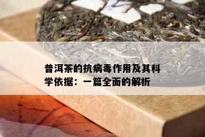 普洱茶的抗病作用及其科学依据：一篇全面的解析