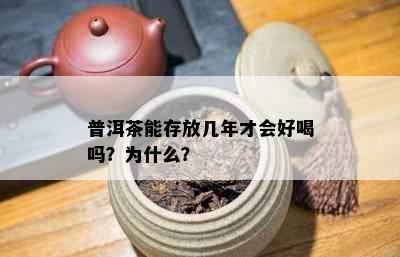 普洱茶能存放几年才会好喝吗？为什么？