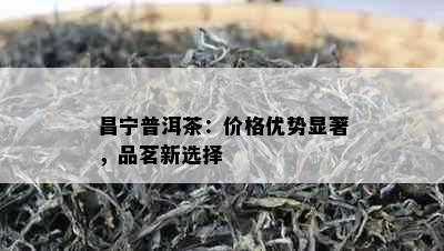 昌宁普洱茶：价格优势显著，品茗新选择