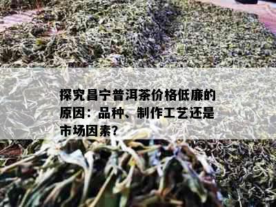 探究昌宁普洱茶价格低廉的原因：品种、制作工艺还是市场因素？