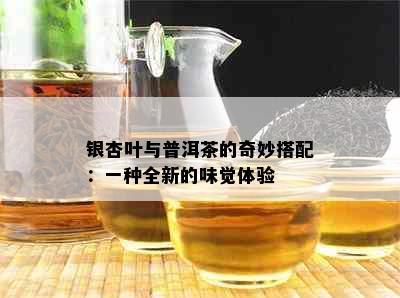 银杏叶与普洱茶的奇妙搭配：一种全新的味觉体验