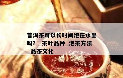 普洱茶可以长时间泡在水里吗？_茶叶品种_泡茶方法_品茶文化