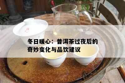 冬日暖心：普洱茶过夜后的奇妙变化与品饮建议