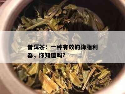 普洱茶：一种有效的降脂利器，你知道吗？