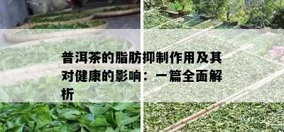 普洱茶的脂肪抑制作用及其对健康的影响：一篇全面解析