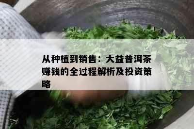 从种植到销售：大益普洱茶赚钱的全过程解析及投资策略