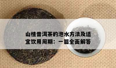 山楂普洱茶的泡水方法及适宜饮用周期：一篇全面解答