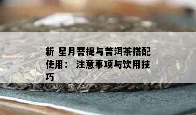 新 星月菩提与普洱茶搭配使用： 注意事项与饮用技巧