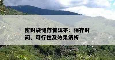 密封袋储存普洱茶：保存时间、可行性及效果解析