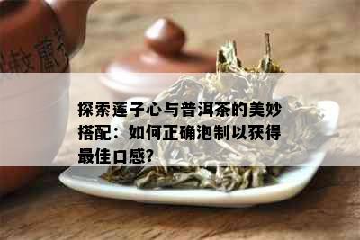 探索莲子心与普洱茶的美妙搭配：如何正确泡制以获得更佳口感？