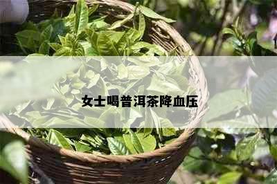 女士喝普洱茶降血压