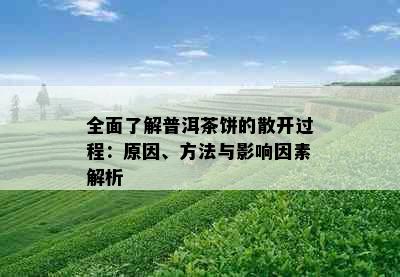 全面了解普洱茶饼的散开过程：原因、方法与影响因素解析