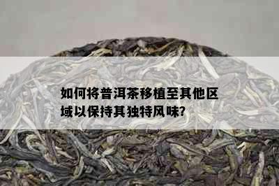 如何将普洱茶移植至其他区域以保持其独特风味？