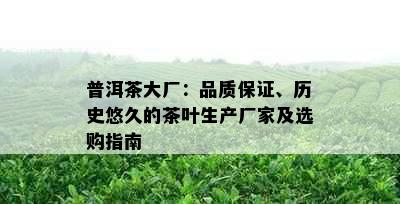 普洱茶大厂：品质保证、历史悠久的茶叶生产厂家及选购指南