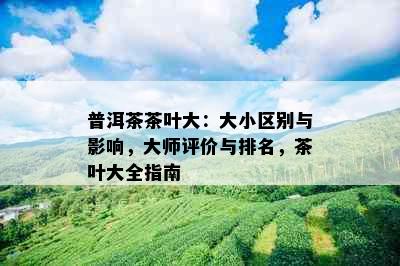 普洱茶茶叶大：大小区别与影响，大师评价与排名，茶叶大全指南