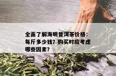 全面了解海明普洱茶价格：每斤多少钱？购买时应考虑哪些因素？