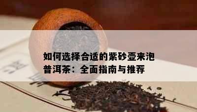 如何选择合适的紫砂壶来泡普洱茶：全面指南与推荐