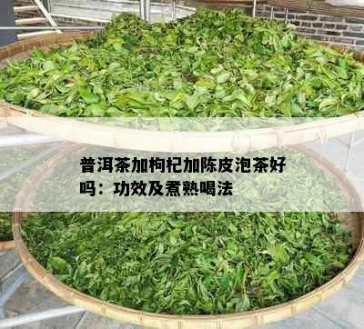 普洱茶加枸杞加陈皮泡茶好吗：功效及煮熟喝法