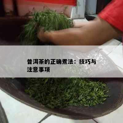 普洱茶的正确煮法：技巧与注意事项